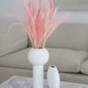 Sušená tráva Feather Pampas faded pink - Image 2