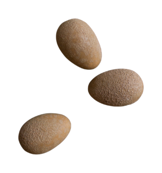 Dekoračné keramické vajíčko o veľkosti 3 x 2 cm vo farbách sivej s bodkami, bielej a pieskovej vhodné napr. pre Veľkonočnú výzdobu.