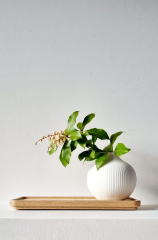 Štýlová keramická váza FRÖBACKEN z novej kolekcie firmy Storefactory  je ako stvorená na obdiv. Má elegantné, harmonicky pôsobiace prevedenie.