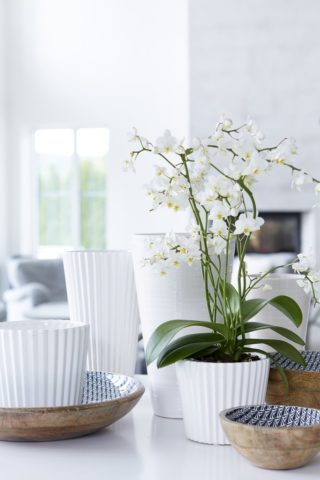 Biely keramický kvetináč s vrúbkami v dvoch veľkostiach o priemere 12,5 a 14,5 cm. Predáva sa ako sada 2 ks.
